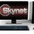 Skynet Gaming